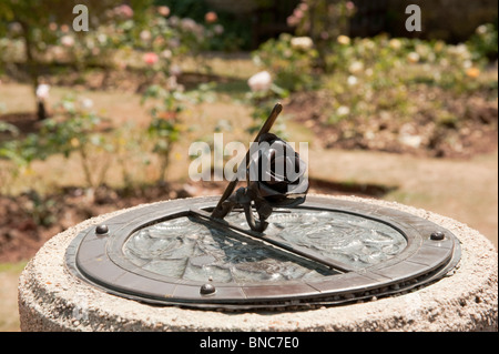 Meridiana di rose nel giardino di rose nel villaggio di Cockington country park Foto Stock