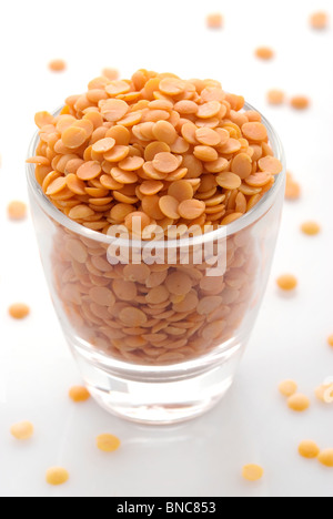 Masoor Dal (lenticchie rosse/gialle lenticchia) Foto Stock