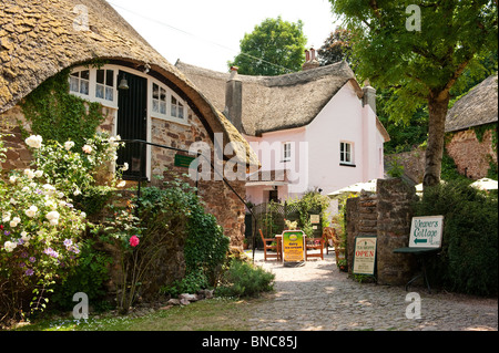 Tessitori Cottage tea shoppe, in Cockington, Torbay, Devon Foto Stock