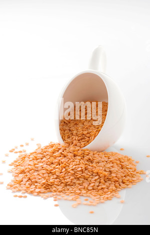 Masoor Dal (lenticchie rosse/gialle lenticchia) Foto Stock