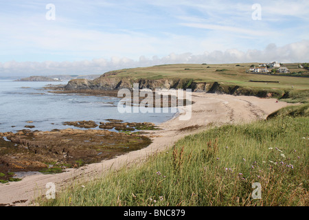 Panoramica della Scenic costa frastagliata e la spiaggia intorno Thurlestone nel Devon su una soleggiata giornata d'estate Foto Stock