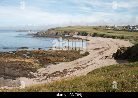 Panoramica della Scenic costa frastagliata e la spiaggia intorno Thurlestone nel Devon su una soleggiata giornata d'estate con la bassa marea Foto Stock