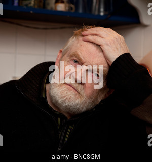 Ritratto di artista Senior, Islanda Foto Stock