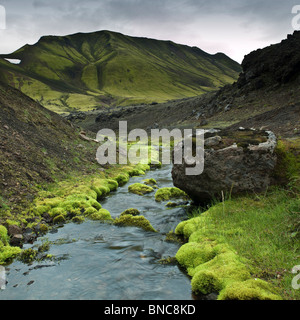 La molla che fluisce attraverso moss coperte del letto di lava, Islanda Foto Stock