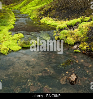 La molla che fluisce attraverso moss coperte del letto di lava, Islanda Foto Stock