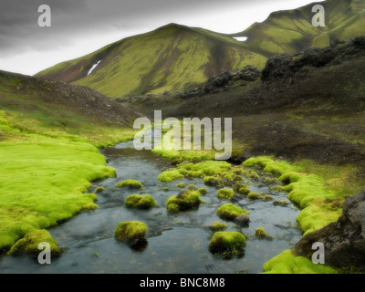 La molla che fluisce attraverso moss coperte del letto di lava, Islanda Foto Stock