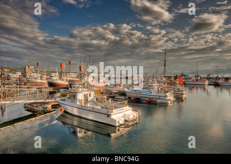 Husavik, Porto, Islanda Foto Stock