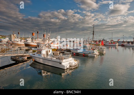 Husavik, Porto, Islanda Foto Stock