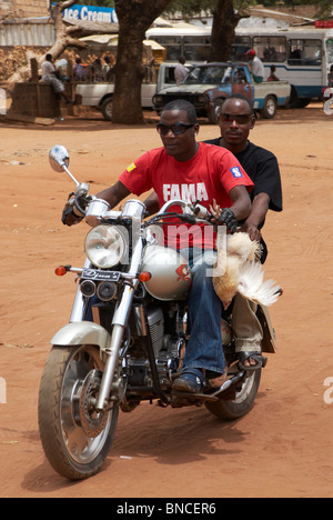 Due uomini africani che trasportano un pollo mentre cavalcate motocicletta lungo una strada di sporco. Chibuto, Mozambico Foto Stock