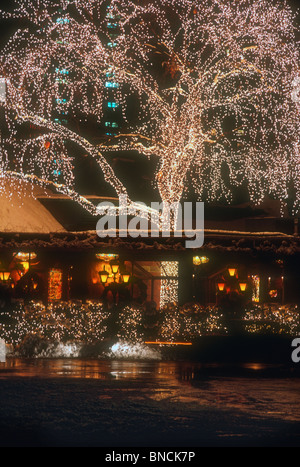 Taverna del ristorante Green Lights Foto Stock