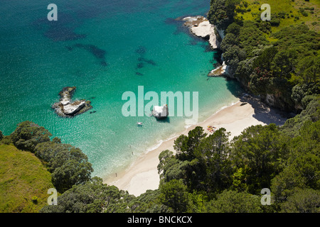 Il mare è la gamba Cove, Cove della cattedrale, Penisola di Coromandel, Isola del nord, Nuova Zelanda - aerial Foto Stock