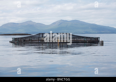 Una pesca in una loch con l'Isle of Mull dietro Foto Stock