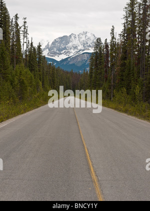 Svuotare strada diritta con Mt Vaux in background. Parco Nazionale di Yoho BC Canada Foto Stock