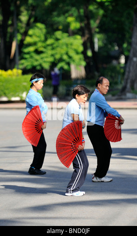Tai Chi - esercizio dai vecchi thailandesi nel Parco Lumpini, Bangkok Foto Stock