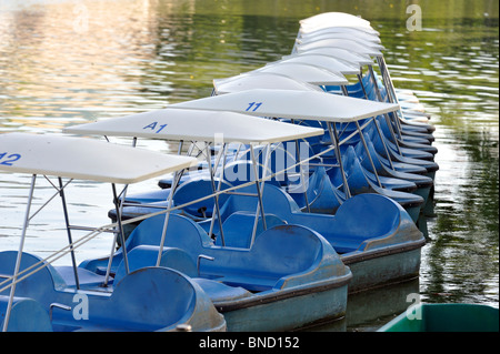 Barche a remi ormeggiate sul lago nel Parco Lumpini, Bangkok Foto Stock