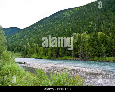 Fiume Illecilleewaet in Mount Revelstoke National Park BC Canada Foto Stock