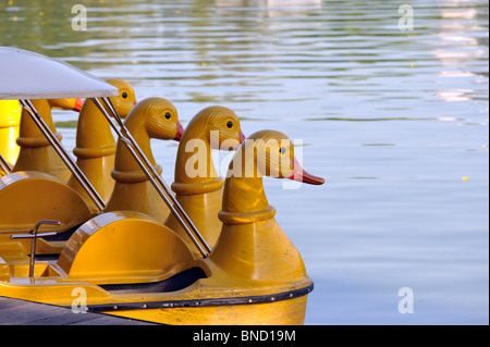 Barche a remi con collo di cigno schierate sul lago nel Parco Lumpini, Bangkok Foto Stock