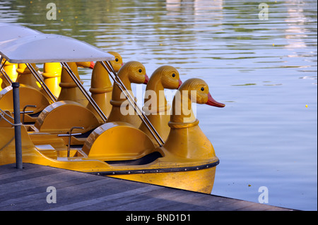 Fila di barche a remi con collo di cigno sul lago al Parco Lumpini, Bangkok Foto Stock