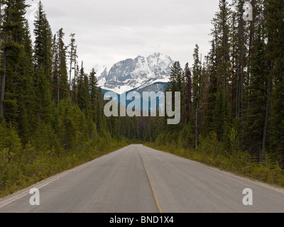 Svuotare strada diritta con Mt Vaux in background. Parco Nazionale di Yoho BC Canada Foto Stock