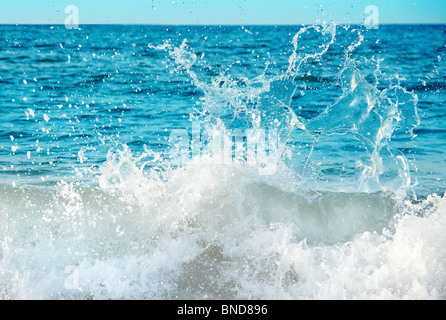 Close-up di acqua bella splash Foto Stock