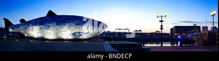 Il grande pesce Donegall Quay Belfast Irlanda del Nord Foto Stock