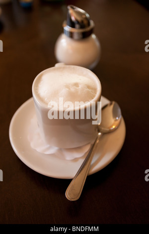 Un cappuccino appena preparato con una schiuma ricca e schiuma, servito in una classica tazza bianca su un piattino, con un cucchiaio e un dispenser di zucchero sul lato, Foto Stock