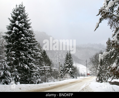 Nevoso inverno road in montagna Foto Stock