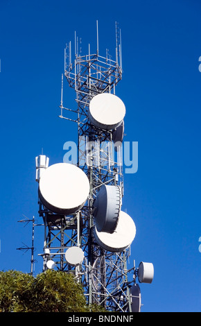 Una torre di comunicazione stagliano contro il cielo blu. Ci sono piatti di grandi dimensioni nella parte anteriore atta ad aggiungere la copia o il vostro logo. Foto Stock