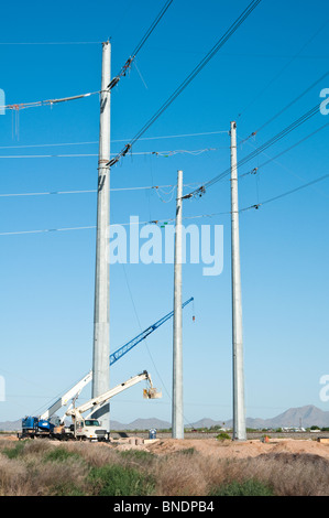 Grande potenza di nuovi poli sono predisposte per le linee di trasmissione in Pinal County, Arizona. Foto Stock