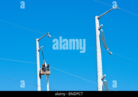 Due lavoratori edili in un cherry picker cestello il lavoro su una nuova linea di trasmissione di potenza. Foto Stock