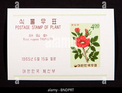 Foglio di Souvenir dalla Corea del Sud che raffigura una rosa. Foto Stock