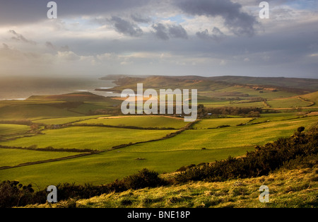 Giorno tempestoso a testa Swyre, Jurassic Coast, Dorset, Regno Unito Foto Stock