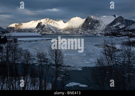 Mefjordbotn pesca costiera borgo incastonato tra le montagne senja inverno artico Norvegia Foto Stock