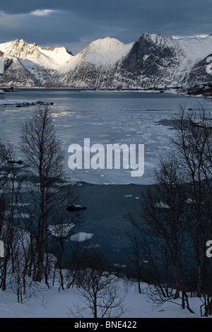 Mefjordbotn pesca costiera borgo incastonato tra le montagne senja inverno artico Norvegia Foto Stock