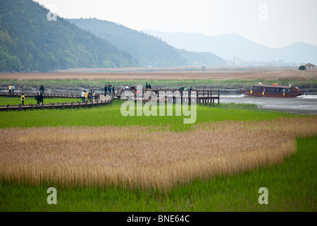 Suncheon Bay zone umide di preservare in Jeollanam-do provincia, Corea del Sud Foto Stock