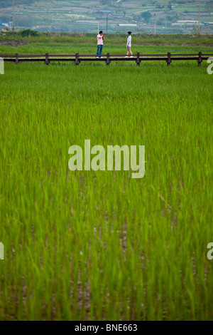 Suncheon Bay zone umide di preservare in Jeollanam-do provincia, Corea del Sud Foto Stock