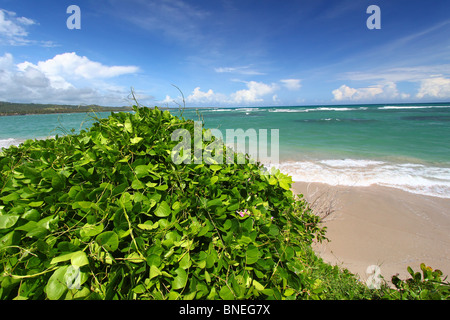 Anse de Sables Beach - Saint Lucia Foto Stock