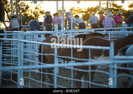 I membri del cowboy di PRCA Rodeo a caso in Bridgeport Texas, Stati Uniti d'America Foto Stock