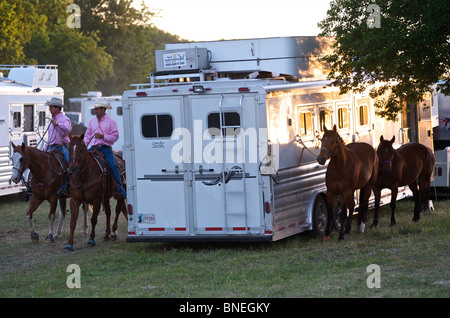 I membri del cowboy di PRCA cavalli dietro le quinte al rodeo evento a Bridgeport Texas, Stati Uniti d'America Foto Stock