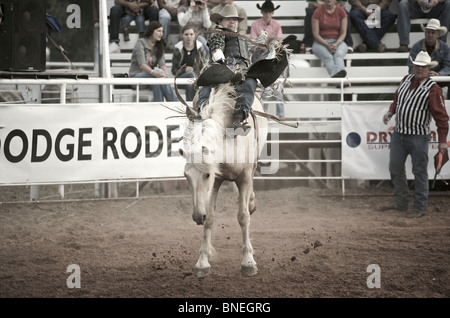 Cavallo cercando di gettare il rodeo cowboy membro di PRCA dalla sua parte posteriore in Smalltown, Bridgeport, Texas, Stati Uniti d'America Foto Stock