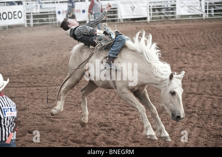 Cavallo gettando Rodeo Cowboy Membro di PRCA dalla sua parte posteriore in Smalltown Bridgeport, Texas, Stati Uniti d'America Foto Stock