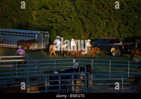 I membri del cowboy di PRCA cavalli dietro le quinte al rodeo evento a Bridgeport, Texas, Stati Uniti d'America Foto Stock
