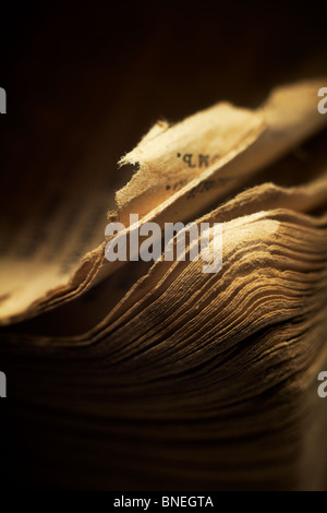 Vintage libro religioso - i bordi delle pagine. Macro; shallow DOF. Foto Stock