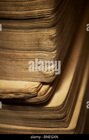 Libro Vintage - i bordi delle pagine. Macro; shallow DOF; composizione verticale. Foto Stock