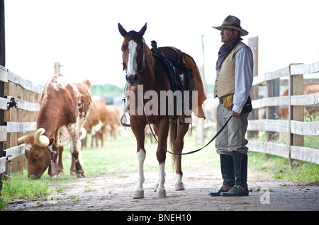 Cowboy con giocatori del Longhorn su ranch nel piazzale di stoccaggio in Fort Worth, Texas, Stati Uniti d'America Foto Stock