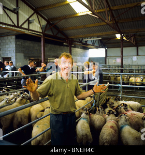 AUCTIONEER'S ASSISTANT SHEEP MARKET MAAM CROSS CONNEMARA COUNTY GALWAY IRLANDA EUROPA Foto Stock