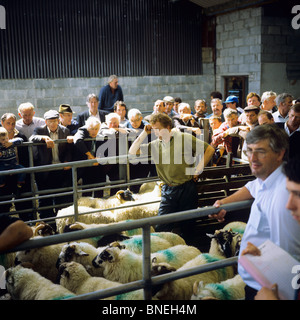 Mercato di ovini MAAM CROSS CONNEMARA COUNTY GALWAY IRLANDA Foto Stock