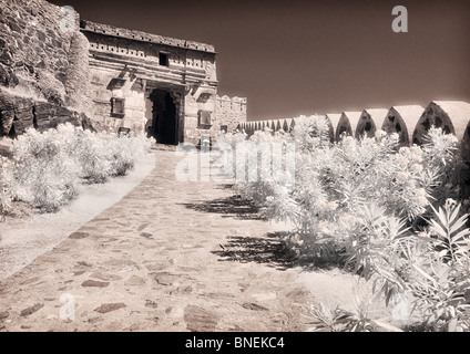 Kumbalgarh Fort Foto Stock