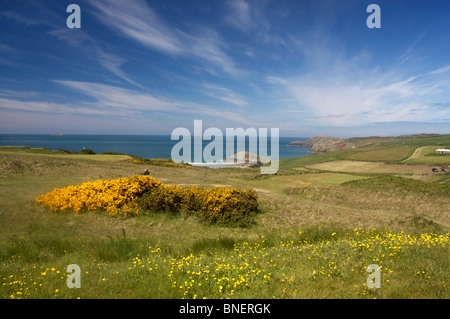 Whitesands Bay e St David's testa in primavera vicino a St David's Pembrokeshire West Wales UK Foto Stock