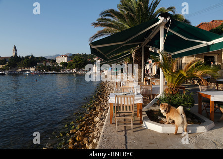 Ristorante a cielo aperto di fronte al mare, nel porto di Lopud, sud della Dalmazia, Croazia, Lopud una delle isole di Elafiti vicino a Dubrovnik Foto Stock